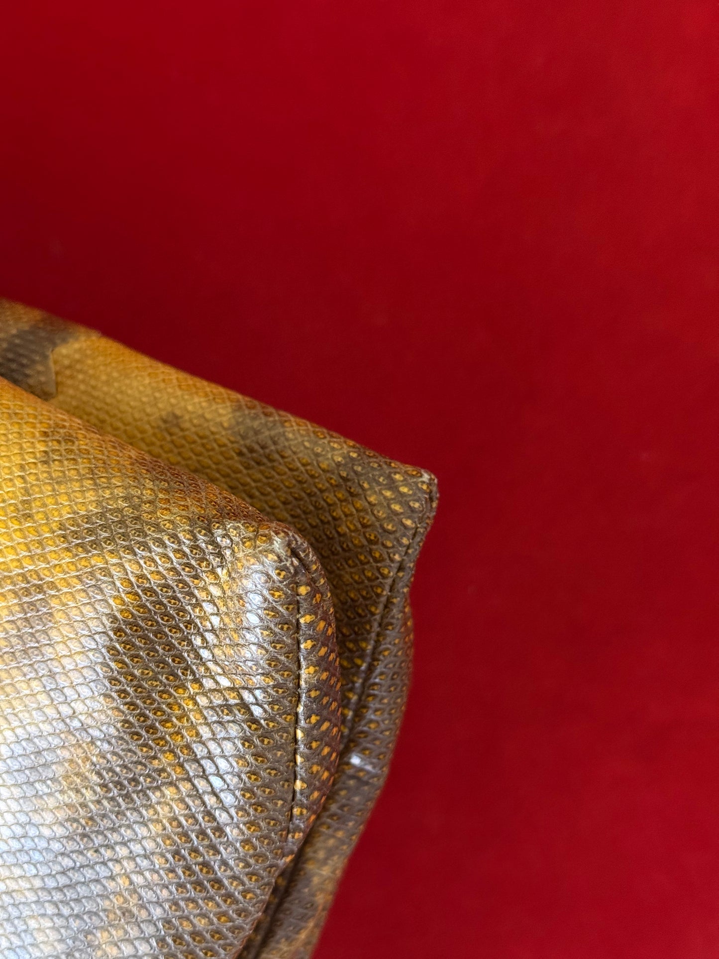 Bottega Veneta clutch in rettile