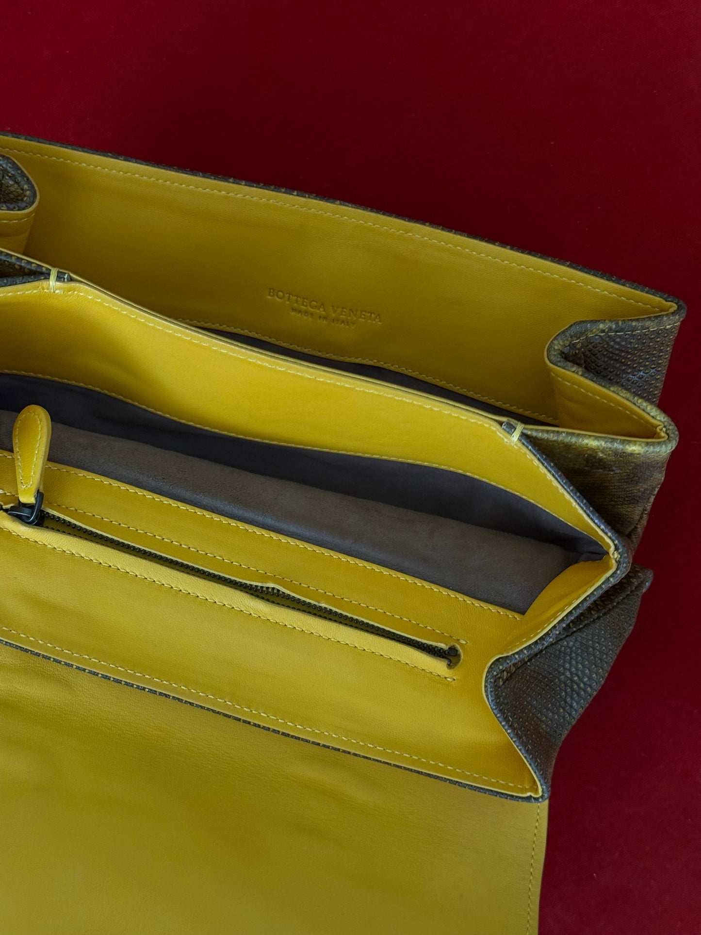Bottega Veneta clutch in rettile