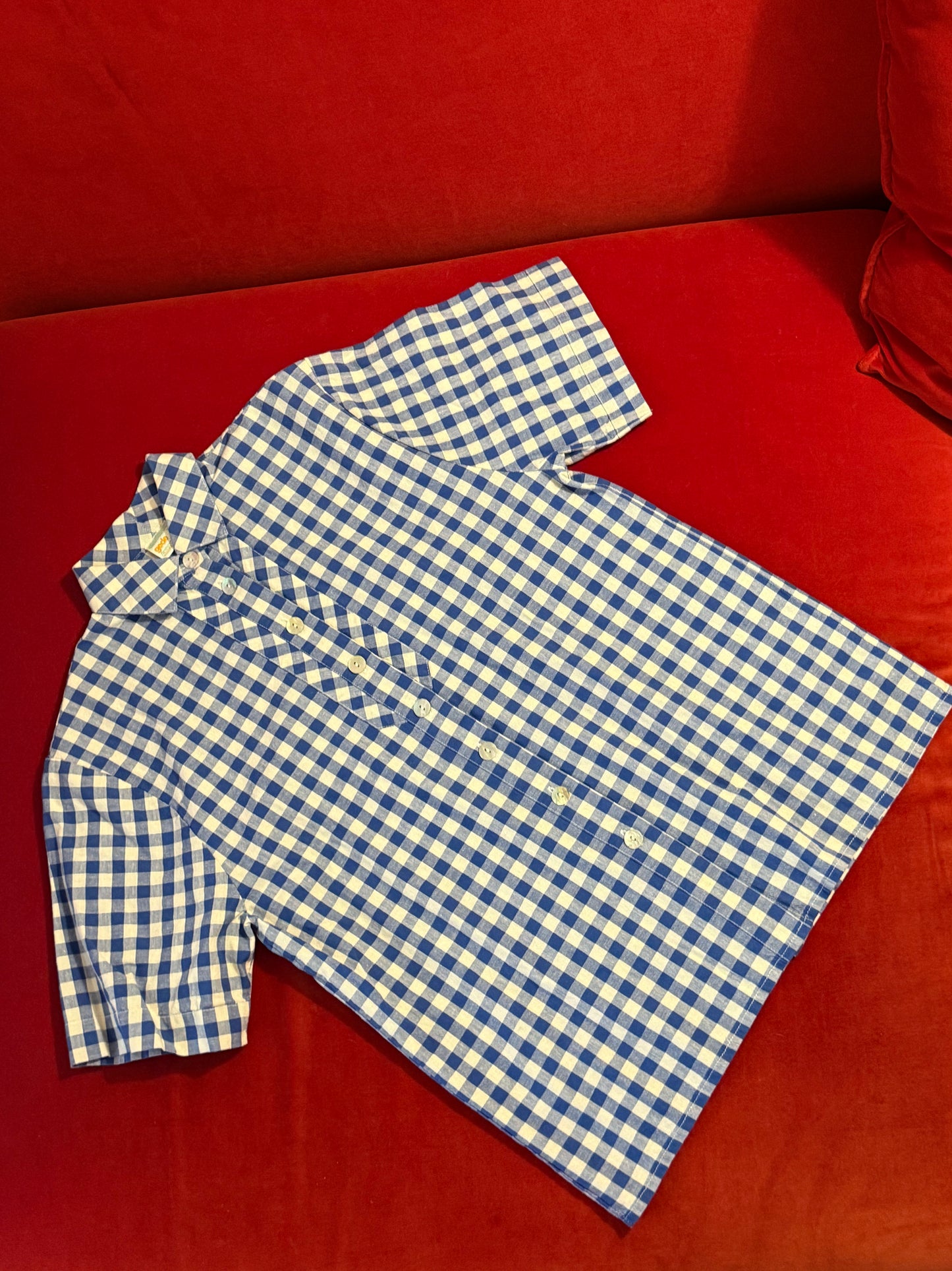 Vintage gingham shirt